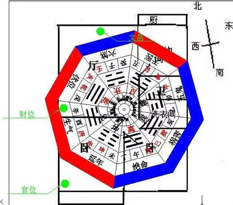 坐西向东的房子 木瓜樹 風水